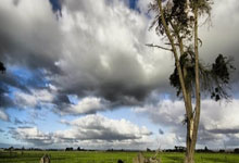 法国客场惊险获胜,欧预赛出线前景乐观