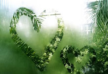 足球赛场上，英雄迎战，荣耀唾手可得